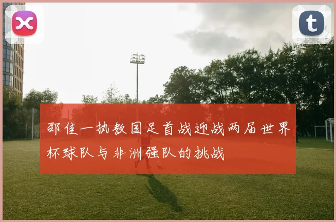 邵佳一执教国足首战迎战两届世界杯球队与非洲强队的挑战